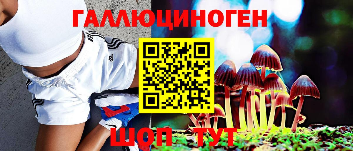 Железноводск  Галлюциногенные грибы GOLDEN TEACHER  Галлюциногенные грибы MAGIC MUSHROOMS  Вход с VPN 